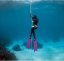 Freediving ploutve X-Wing Short - Velikost: 42/43
